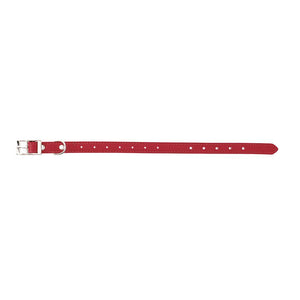 Canine Care Stud 30cm Red