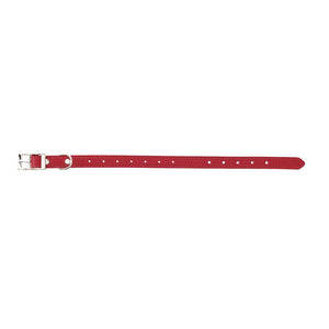 Canine Care Stud 45cm Red