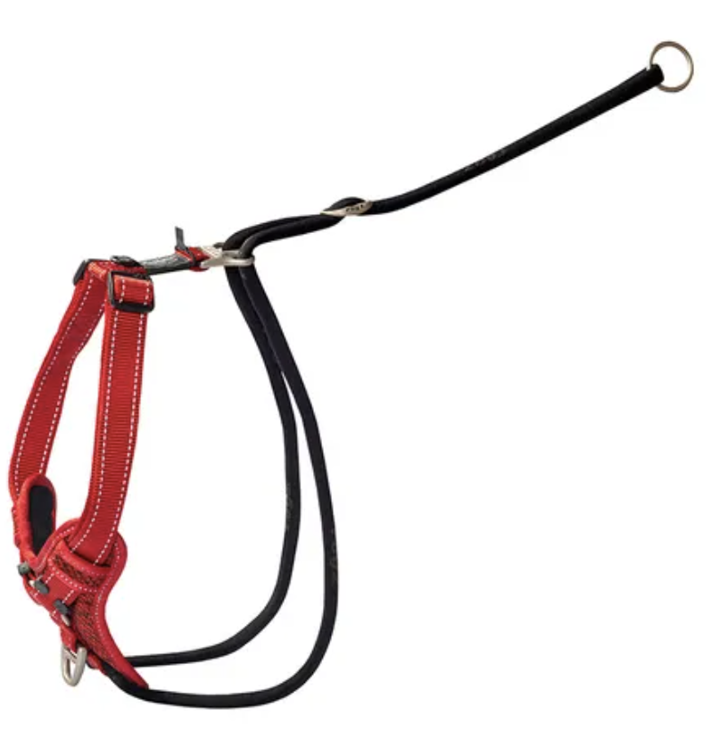 Rogz Stop Pull Harness - Red - XLarge
