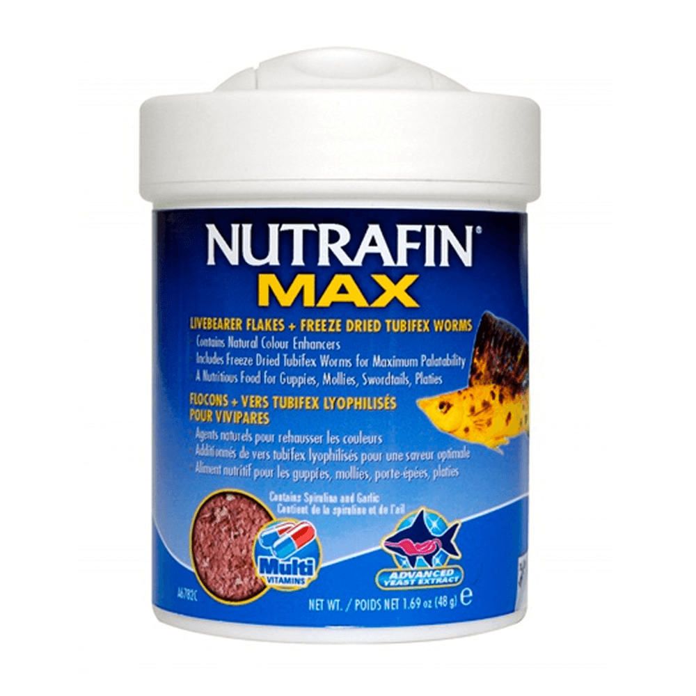 Nutrafin Max Livebearer Food-4